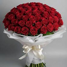 Букет 101 Красная роза Блэк Мэджик в Старотеряево