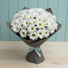 Букет цветов из:  Хризантемы #REPLACE_PRED# Старотеряево