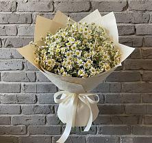 Букет цветов из:  Ромашки #REPLACE_PRED# Старотеряево