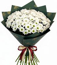 Букет цветов из:  Хризантемы в Старотеряево