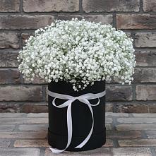 Цветочная композиция из Гипсофила в шляпной коробке в Старотеряево