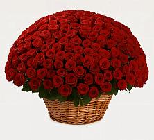 Премиум букет из: Розы в Старотеряево